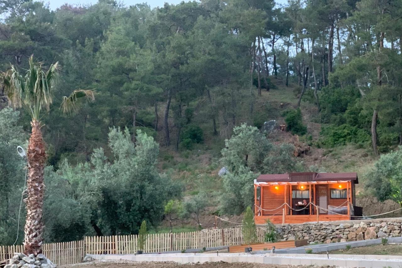 Hotel Tiny Mini House Dalaman Exteriér fotografie