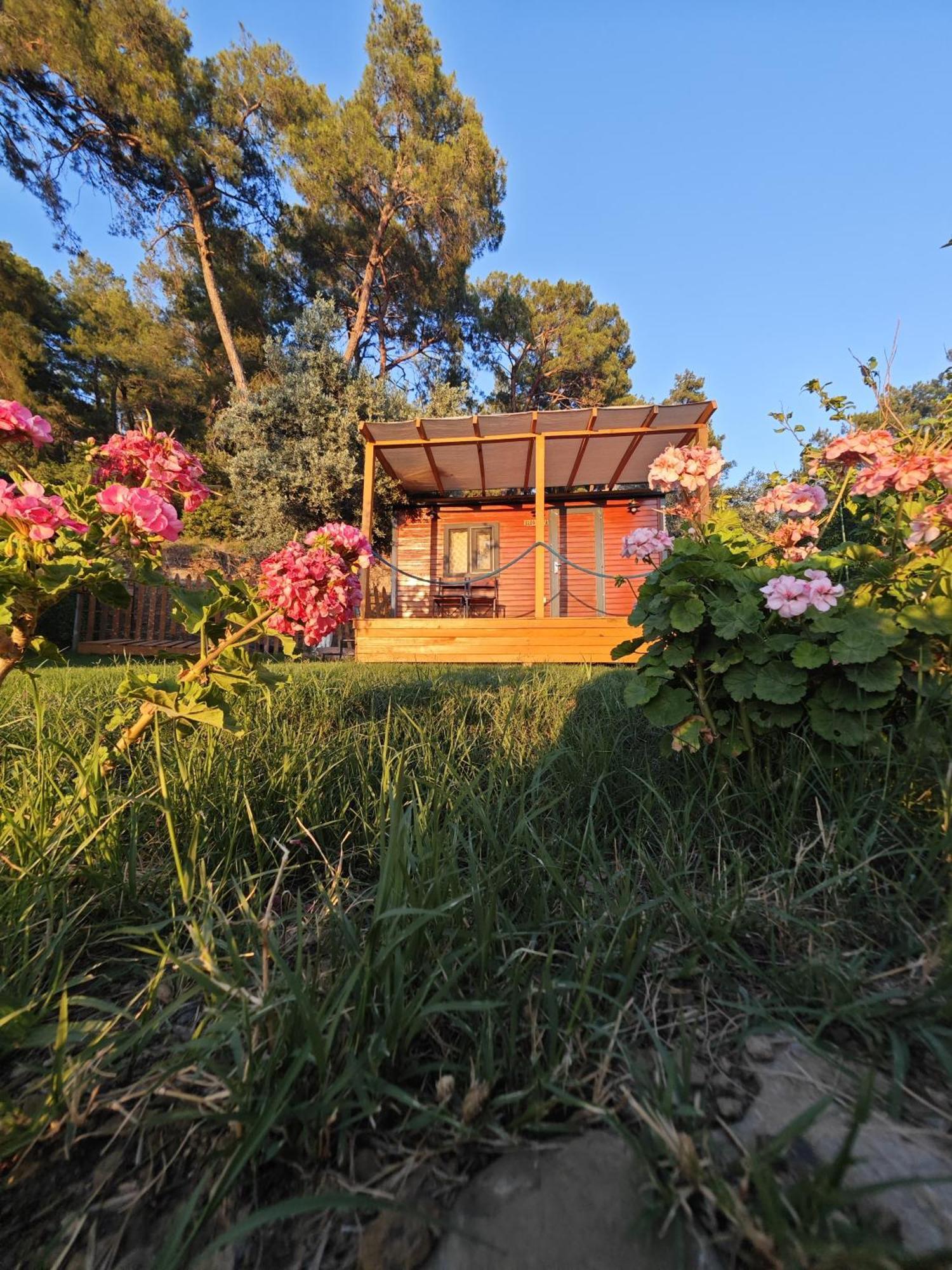 Hotel Tiny Mini House Dalaman Exteriér fotografie