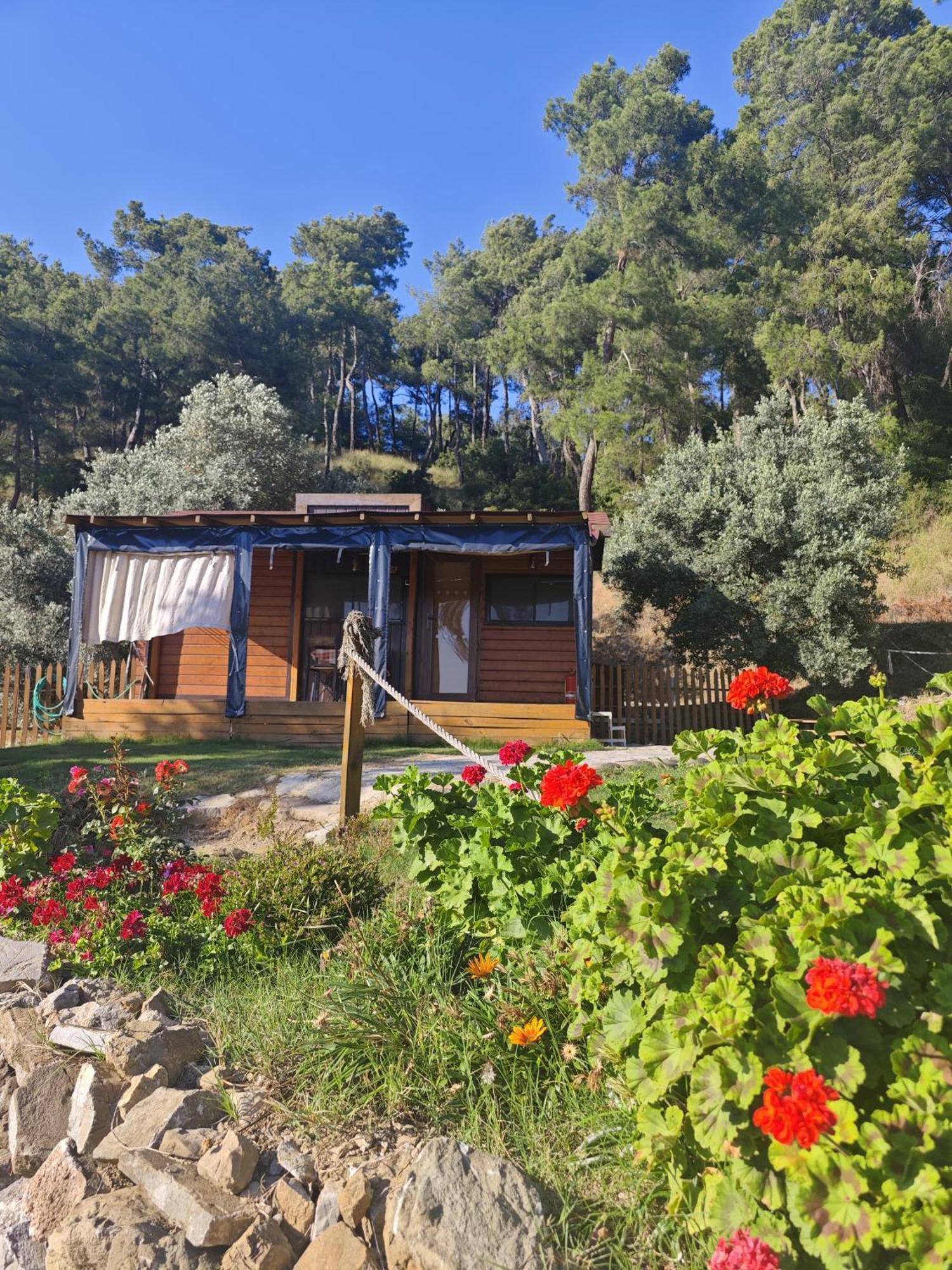 Hotel Tiny Mini House Dalaman Exteriér fotografie