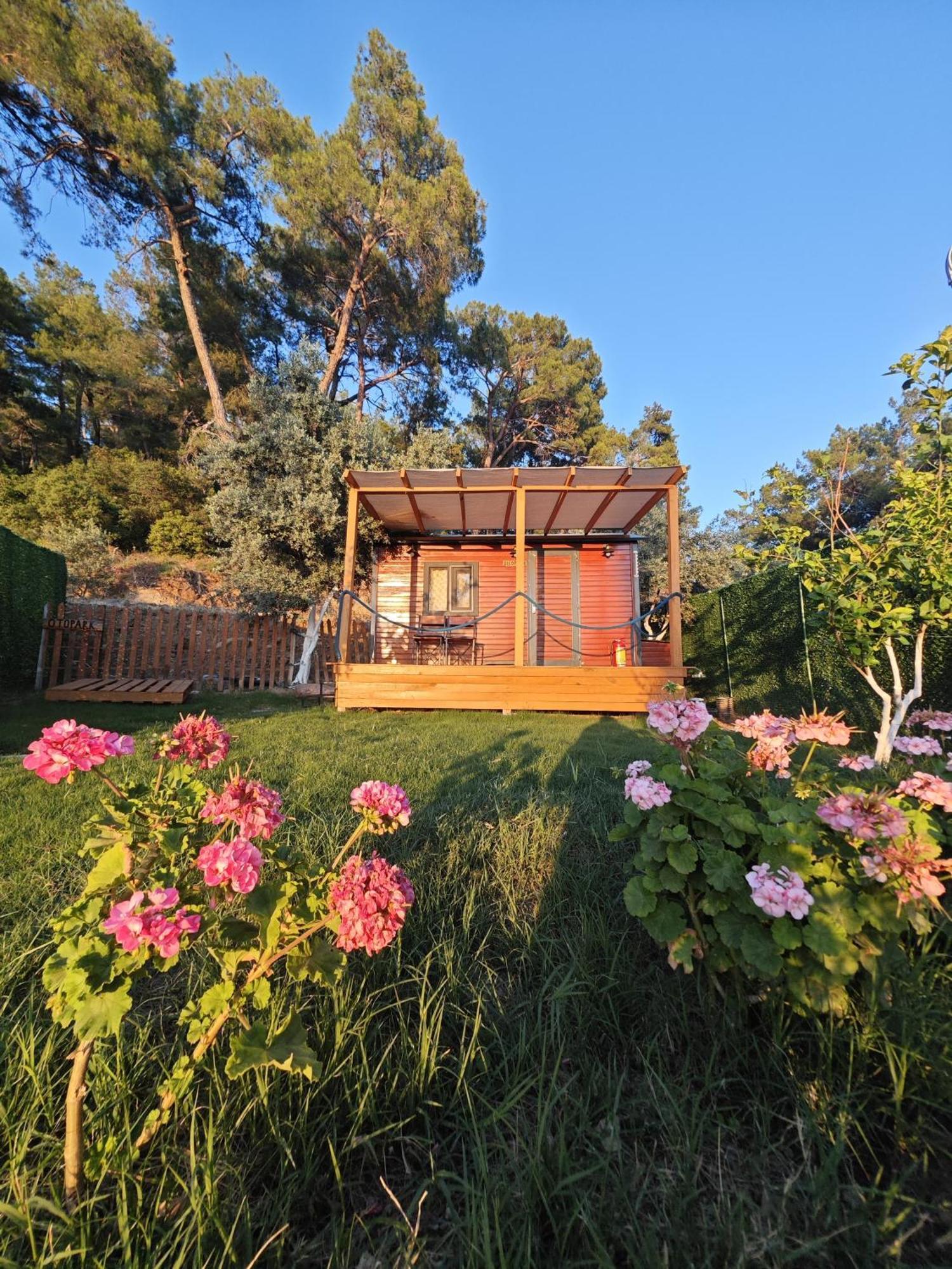 Hotel Tiny Mini House Dalaman Exteriér fotografie